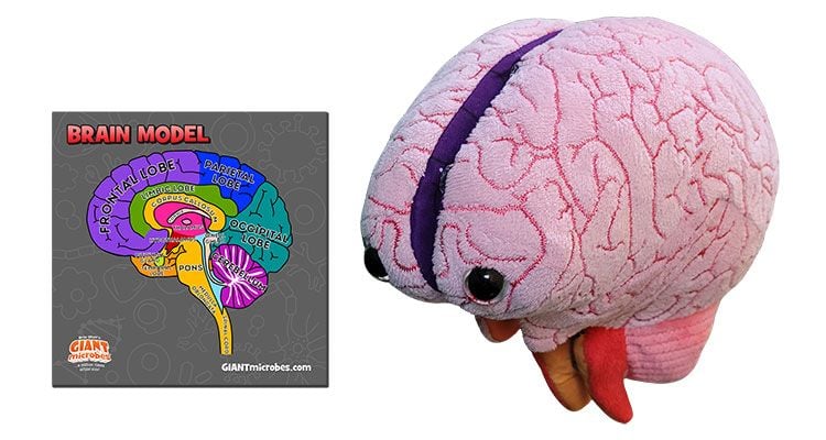 Giant Microbes Brain Model - Guzzgoggs