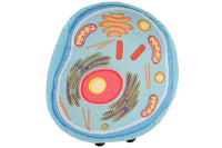 Giant Microbes Cell Biology Deluxe 2 - Pack - Guzzgoggs