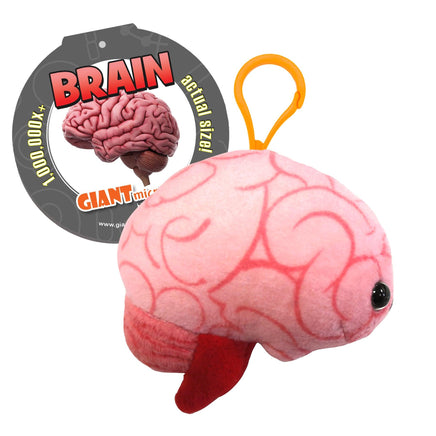 Giant Microbes Brain Organ Keyring Plush Educational Toy - Guzzgoggs