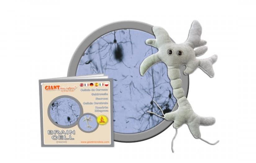 Giant Microbes Original Brain Cell (Neuron) - Guzzgoggs