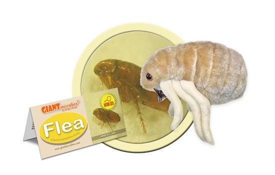 Giant Microbes Original Flea Plush Educational Toy - Guzzgoggs