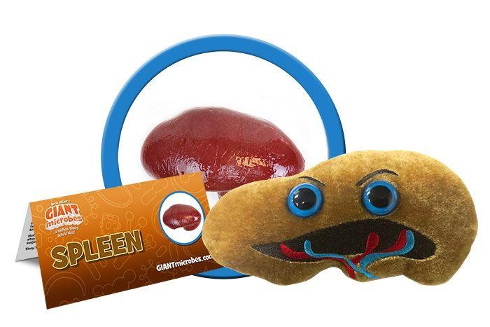 Giant Microbes Original Spleen - Guzzgoggs