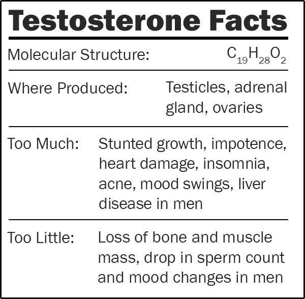 Giant Microbes Original Testosterone - Guzzgoggs
