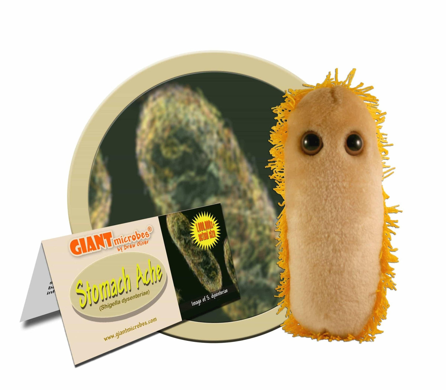 Giant Microbes Stomach Ache Shigella - Guzzgoggs