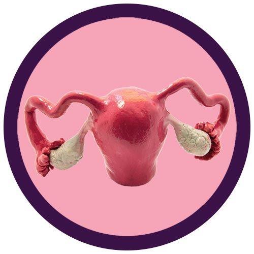 Giant Microbes Uterus Keyring - Guzzgoggs