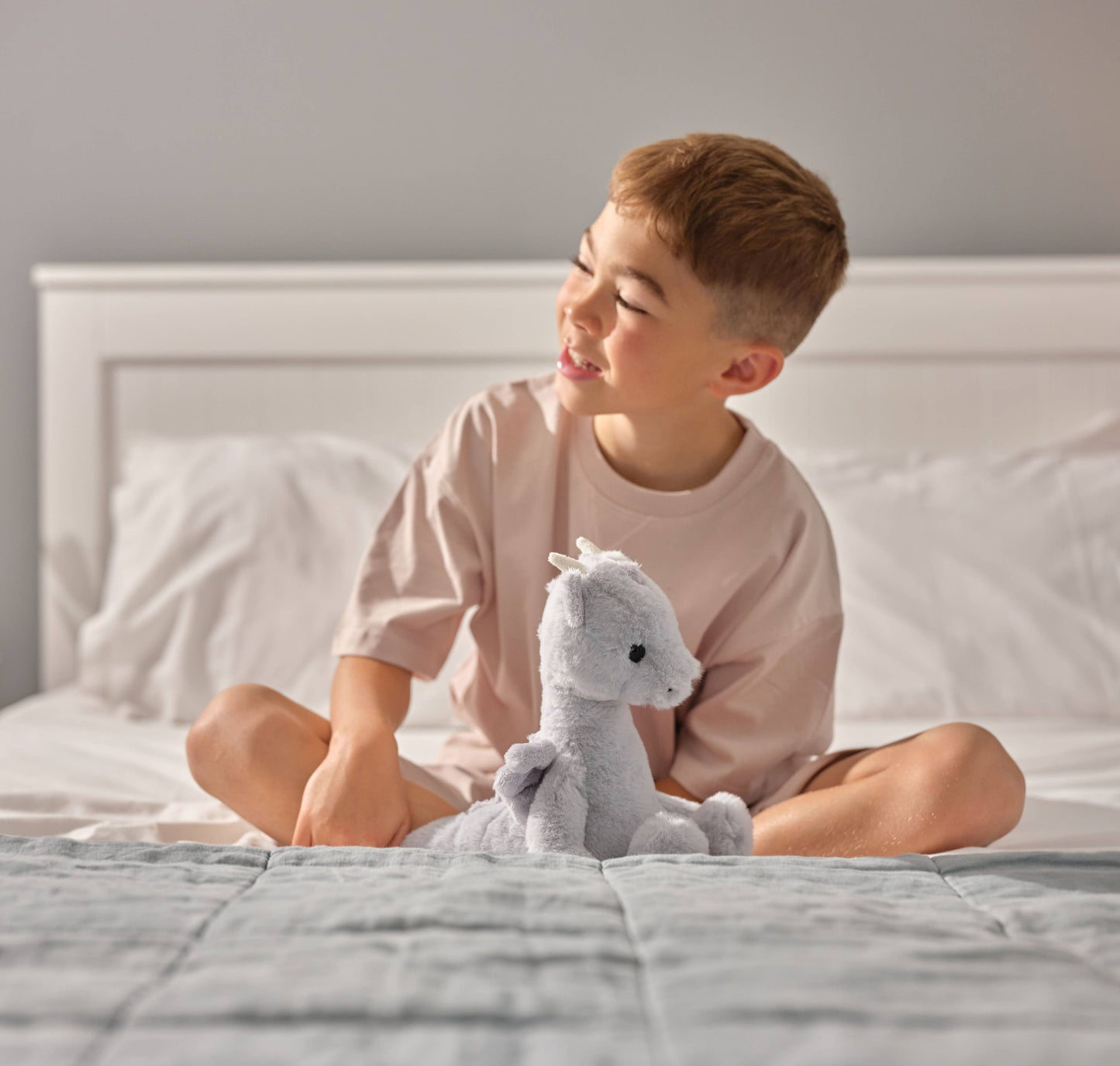 Charlie Bears Ltd - Draco Dragon Cloudy Grey Soft Plush Toy Teddy Bear