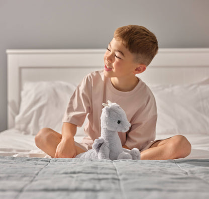 Charlie Bears Ltd - Draco Dragon Cloudy Grey Soft Plush Toy Teddy Bear