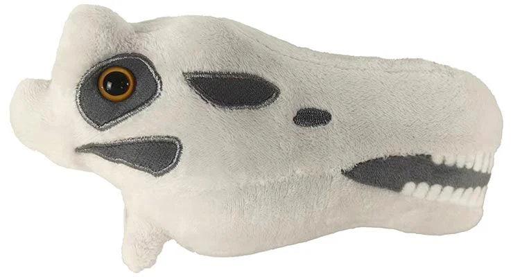 Fuzzy Fossils Diplodocus Skull - Guzzgoggs