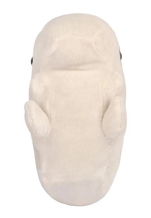 Fuzzy Fossils Giant Ground Sloth Skull - Guzzgoggs