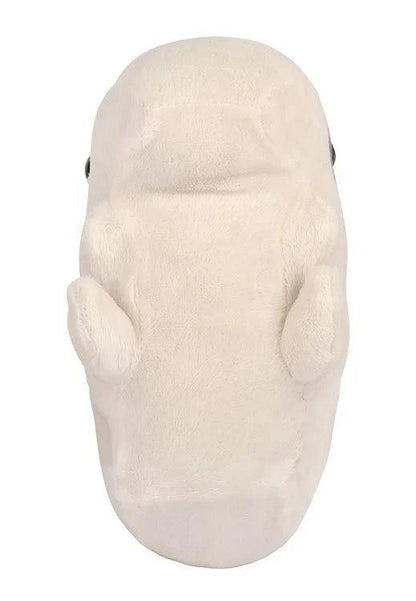 Fuzzy Fossils Giant Ground Sloth Skull - Guzzgoggs