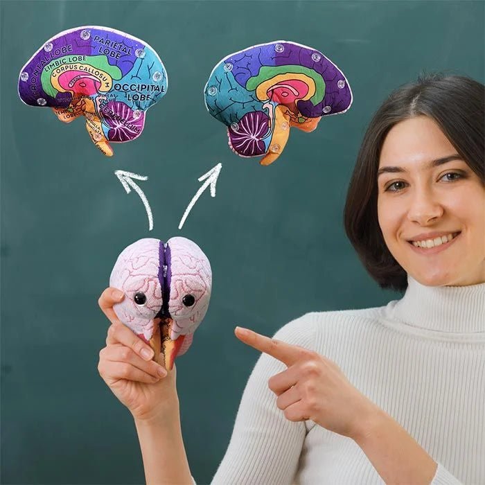 Giant Microbes Brain Model - Guzzgoggs