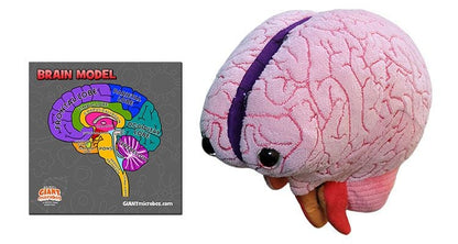 Giant Microbes Brain Model - Guzzgoggs