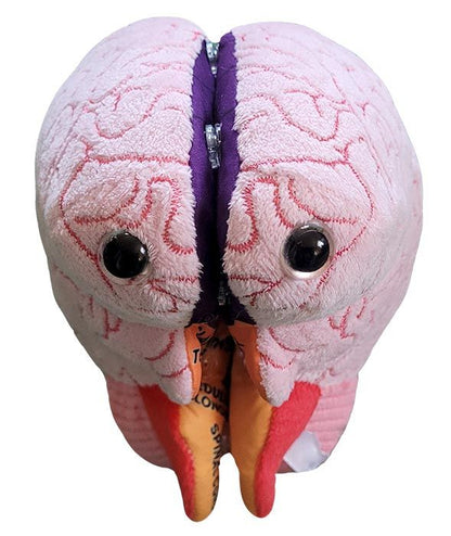 Giant Microbes Brain Model - Guzzgoggs