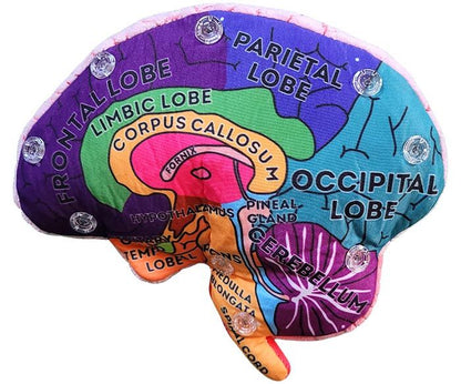 Giant Microbes Brain Model - Guzzgoggs