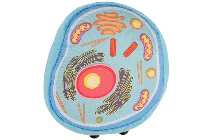 Giant Microbes Cell Biology Deluxe 2 - Pack - Guzzgoggs