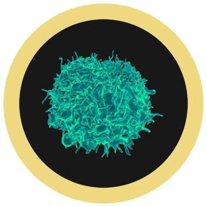 Giant Microbes Cells at Work Killer T - 4 Cell Plush Educational Toy - Guzzgoggs
