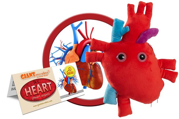 Giant Microbes Deluxe Heart XL with Hidden Cells - Guzzgoggs