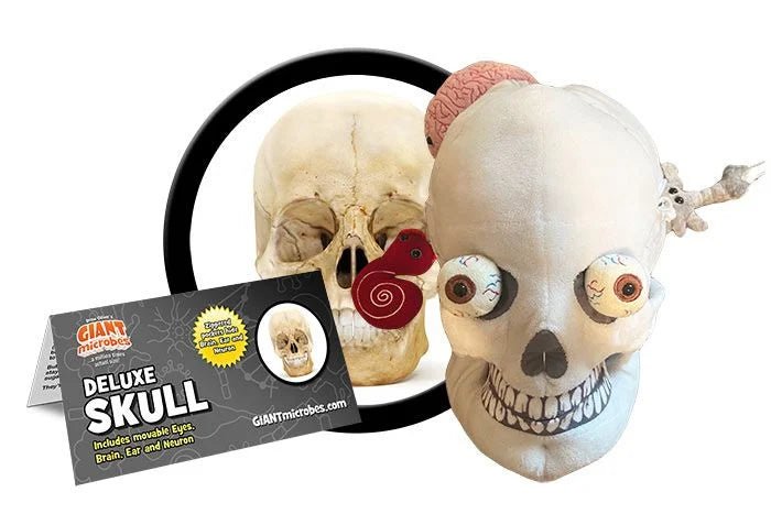 Giant Microbes Deluxe Skull With Hidden Organs - Guzzgoggs