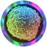 Giant Microbes Gigantic Stem Cell 35cm - Guzzgoggs