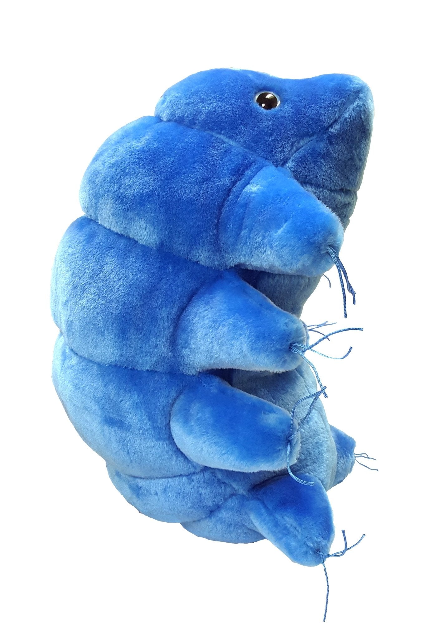 Giant Microbes Gigantic Waterbear 38cm - Guzzgoggs