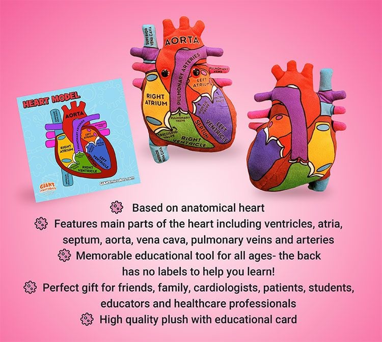 Giant Microbes Heart Model - Guzzgoggs