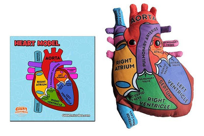 Giant Microbes Heart Model - Guzzgoggs