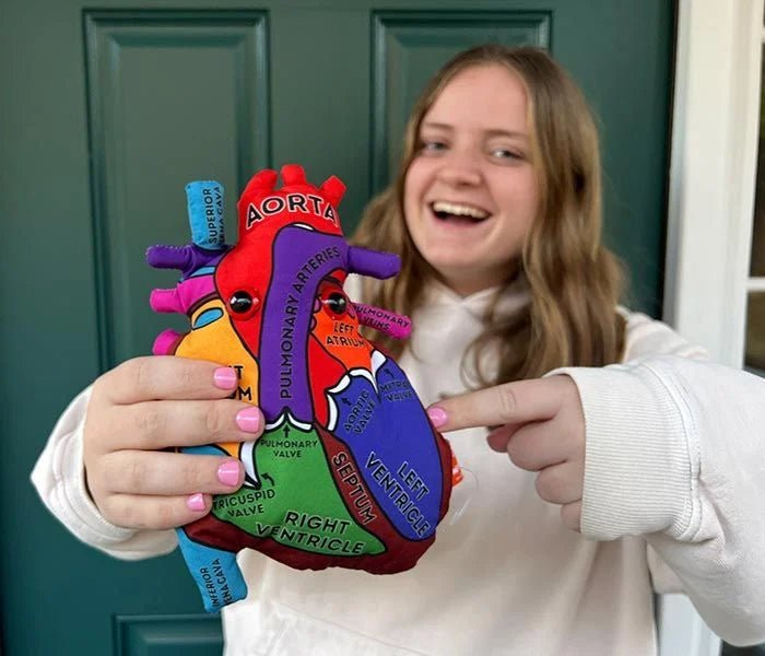 Giant Microbes Heart Model - Guzzgoggs