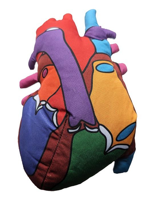 Giant Microbes Heart Model - Guzzgoggs