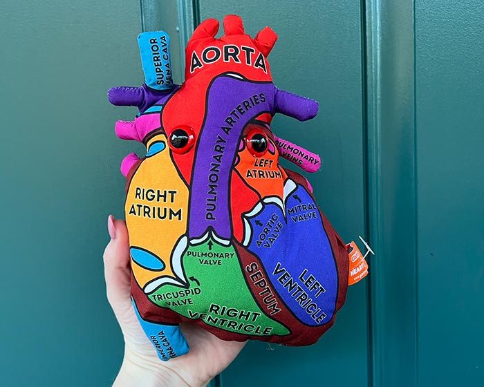 Giant Microbes Heart Model - Guzzgoggs