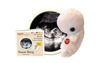 Giant Microbes Human Being Fetus Embryo 'with Heartbeat' (Homo Sapiens) Plush Educational Toy - Guzzgoggs