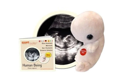 Giant Microbes Human Being Fetus Embryo 'with Heartbeat' (Homo Sapiens) Plush Educational Toy - Guzzgoggs