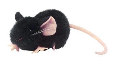 Giant Microbes Original Black Lab Mouse Plush Educational Toy - Guzzgoggs