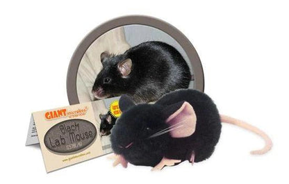 Giant Microbes Original Black Lab Mouse Plush Educational Toy - Guzzgoggs