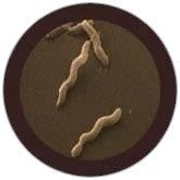 Giant Microbes Original Diarrhoea Diarrhea (Campylobacter jejuni) Plush Educational Toy - Guzzgoggs