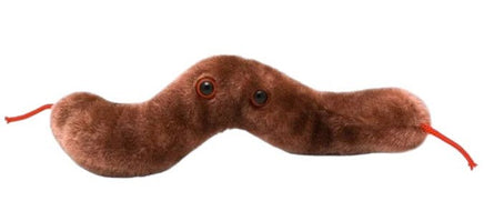 Giant Microbes Original Diarrhoea Diarrhea (Campylobacter jejuni) Plush Educational Toy - Guzzgoggs