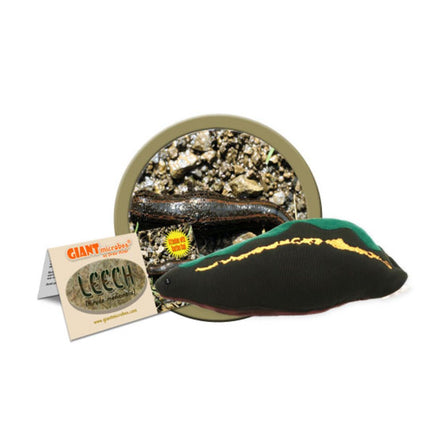 Giant Microbes Original Leech (Hirudo medicinalis) - Guzzgoggs