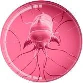 Giant Microbes Original Plague Inc: Neurax Worm - Guzzgoggs