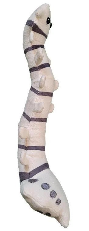 Giant Microbes Spine - Guzzgoggs