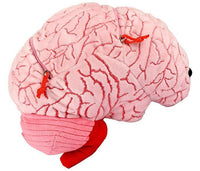 Giant Microbes XL Deluxe Brain Organ with Hidden Cells & Neurotransmitters - Guzzgoggs