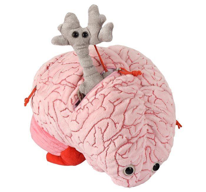 Giant Microbes XL Deluxe Brain Organ with Hidden Cells & Neurotransmitters - Guzzgoggs