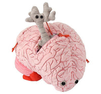 Giant Microbes XL Deluxe Brain Organ with Hidden Cells & Neurotransmitters - Guzzgoggs