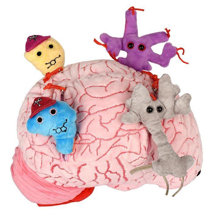 Giant Microbes XL Deluxe Brain Organ with Hidden Cells & Neurotransmitters - Guzzgoggs
