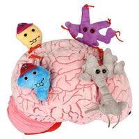 Giant Microbes XL Deluxe Brain Organ with Hidden Cells & Neurotransmitters - Guzzgoggs