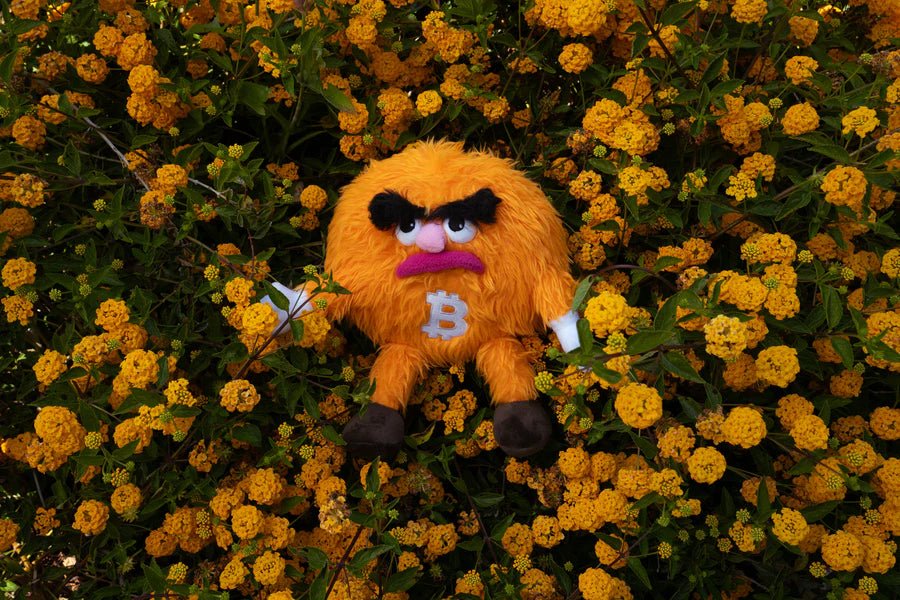 Here Comes Bitcoin (Bitcoin Plushie) - Guzzgoggs