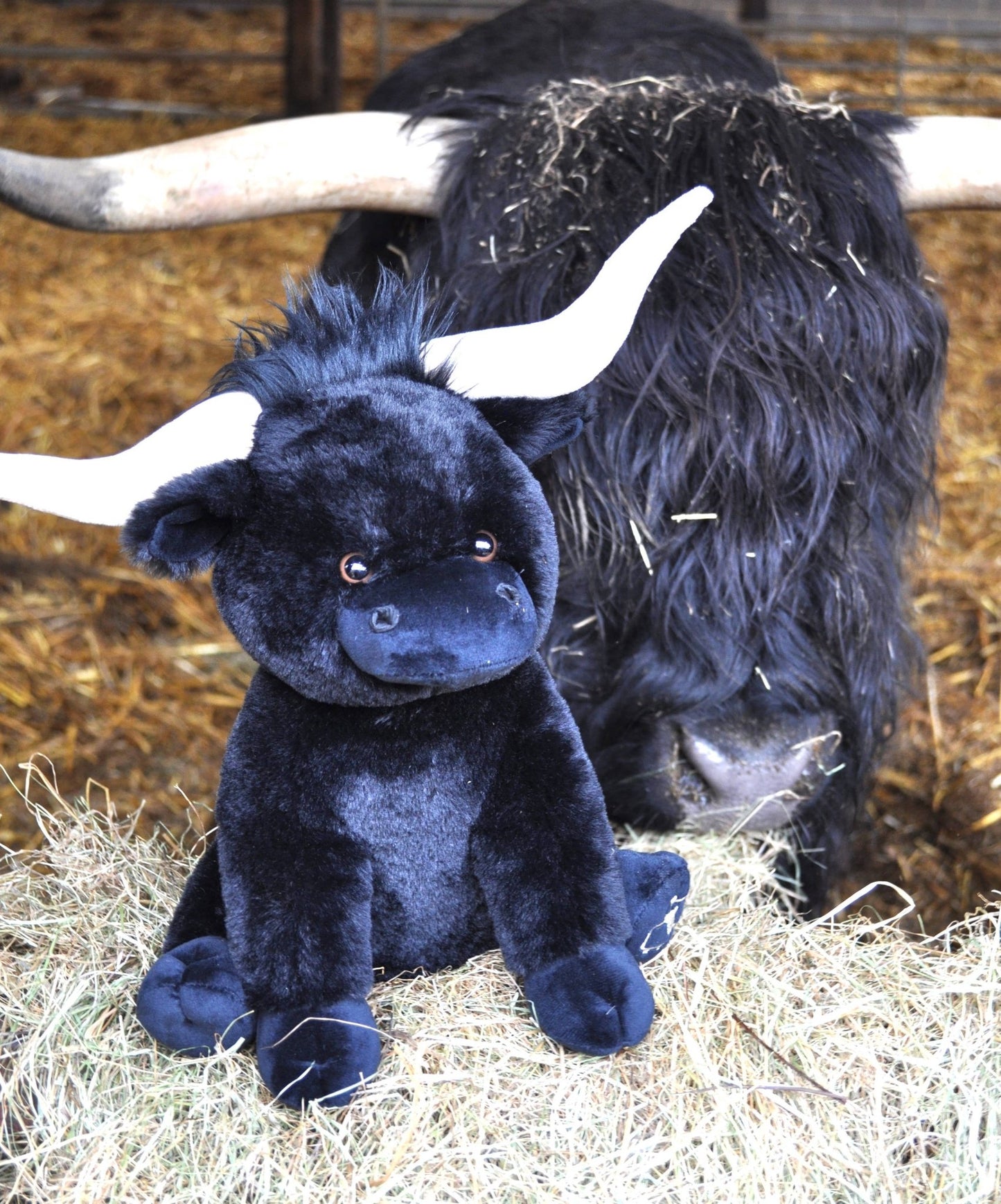 Jomanda Black Large Longhorn Highland Plush Cow - 30cm - Guzzgoggs
