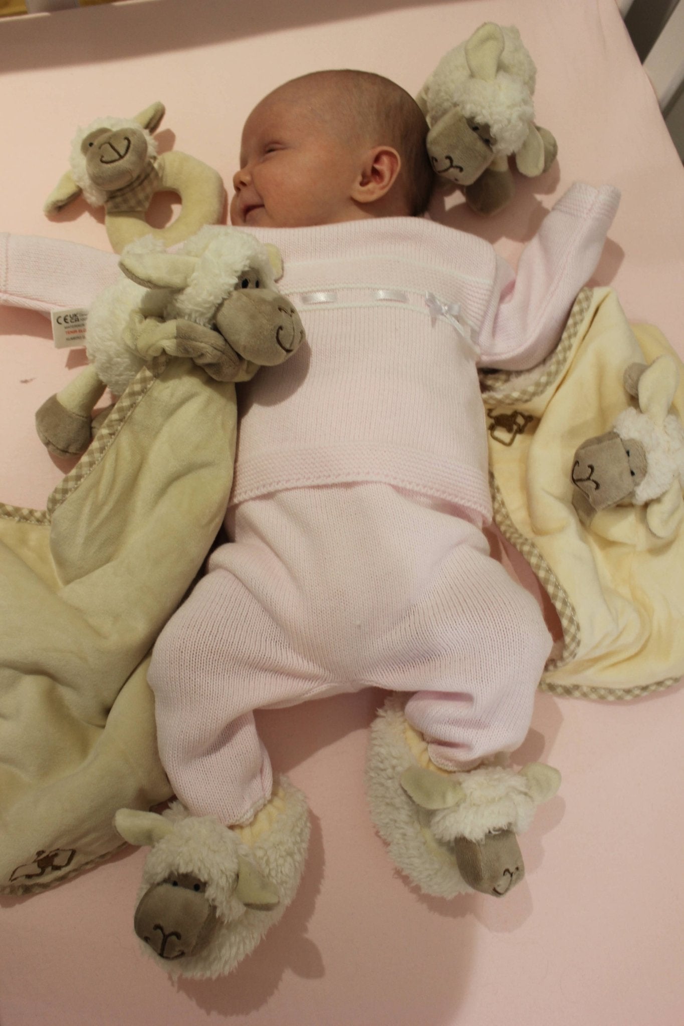 Jomanda Sheep Soft Plush Baby Slippers House Shoes, 0 - 6 months - Guzzgoggs