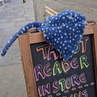 Shared Earth - Ray - Eco Soft Toy - Guzzgoggs
