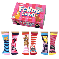 Sock Academy - FELINE GOOD! 6 Odd Socks Gift Box - United Oddsocks - UK 4 - 8 EUR 37 - 42 US 6.5 - 10.5 - Guzzgoggs