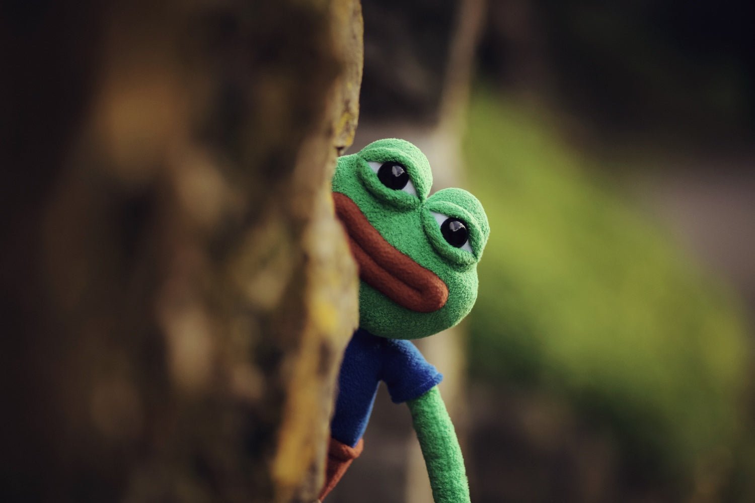 UNCUTE Official Pepe the Frog (Anatomically Correct) - Guzzgoggs