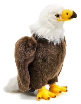 Uni Toys - Bald eagle - 24 cm (height) - cuddly/plush toy - Guzzgoggs